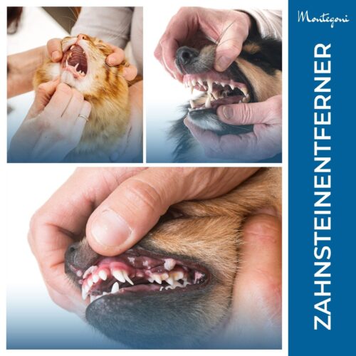 5er Set Zahnsteinentferner, Zahnreinigung, Zahnpflege für den Heimgebrauch - Image 4