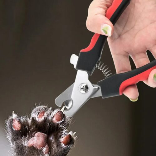 Montegoni Krallenschneider Profi Krallenschere für Hunde mit Haustier Nagelfeile, (2-tlg., Nagelknipser Mit Sicherheitsschutz), Edelstahl,Hohe Qualität Krallenpflege Schneider für Haustiere - Image 3