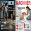 Pet Training Pads, 60 × 60 cm, 100 Pieces