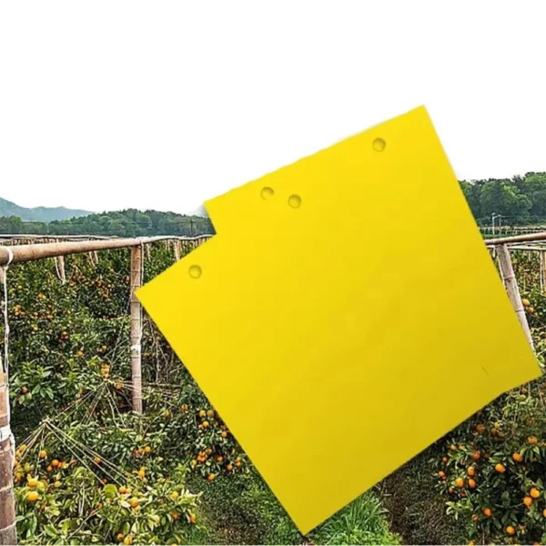 Sticky Insect Traps, 10 × 20 cm, Set of 10