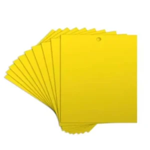 Klebefallen für Insekten, 10 × 20 cm, 10er-Set