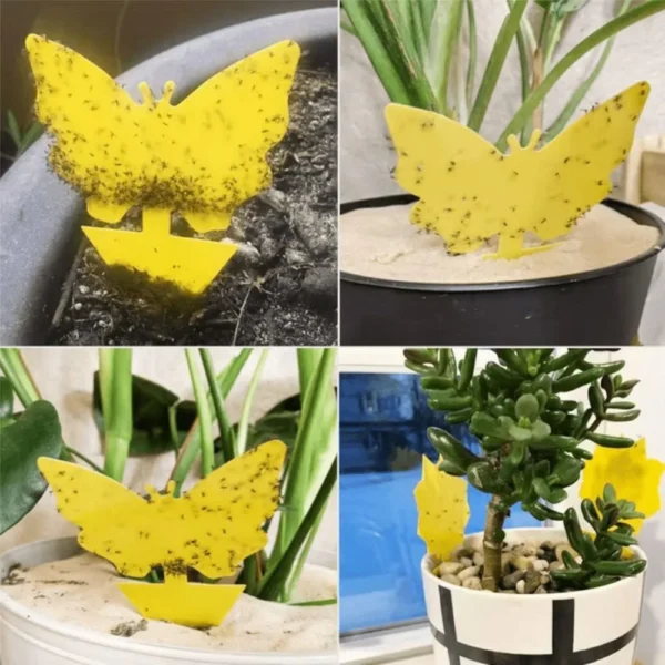 Yellow Sticky Insect Traps, 36 Pieces