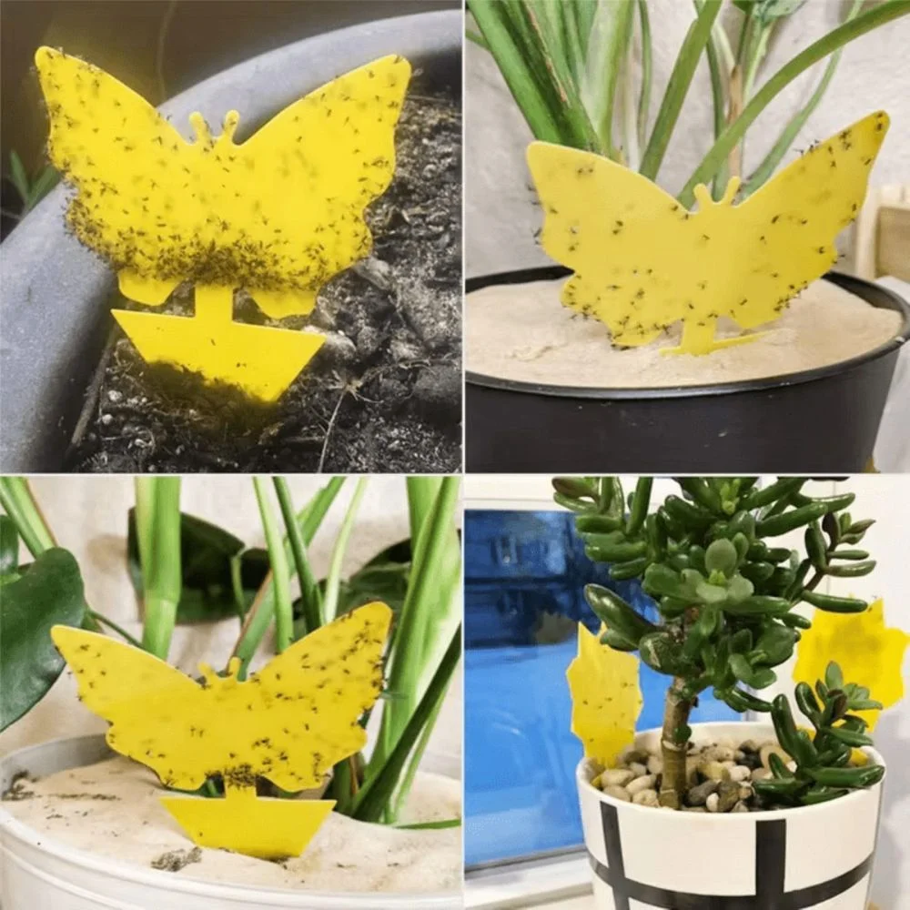 Yellow Sticky Insect Traps, 36 Pieces