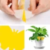 Yellow Sticky Insect Traps, 36 Pieces