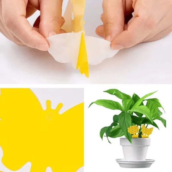 Yellow Sticky Insect Traps, 36 Pieces