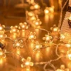 Lichterkette Cherry, 3 m, 20 LEDs