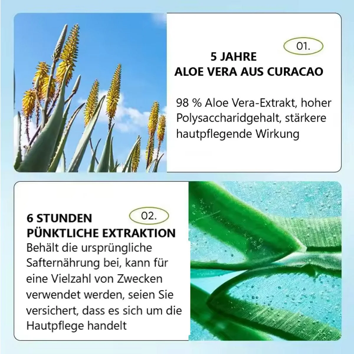Aloe Vera Eye Cream