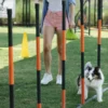 Dog Poop Bags