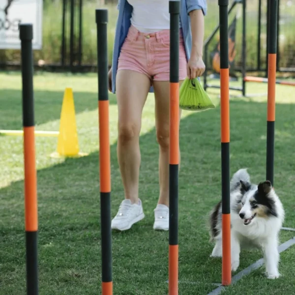 Dog Poop Bags