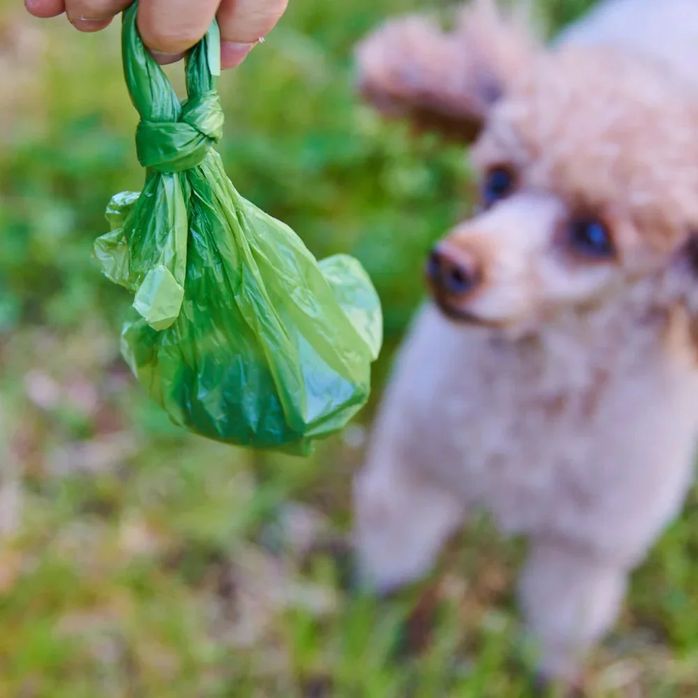 Dog Poop Bags