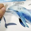 Wall stickers with dolphins and coral reefs, bathtub stickers