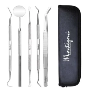 Stainless Steel Dental Care Set, 5 Pieces