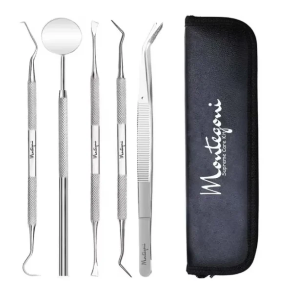 Stainless Steel Dental Care Set, 5 Pieces