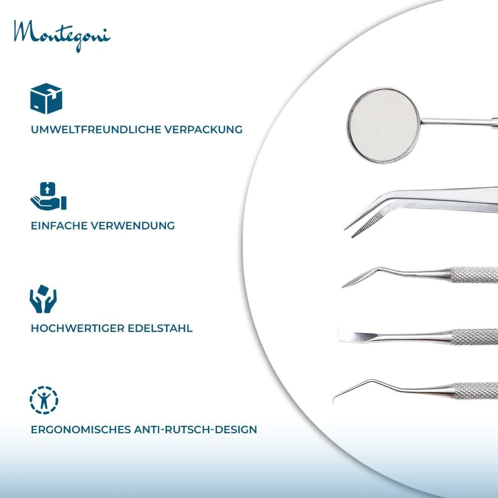 Stainless Steel Dental Care Set, 5 Pieces