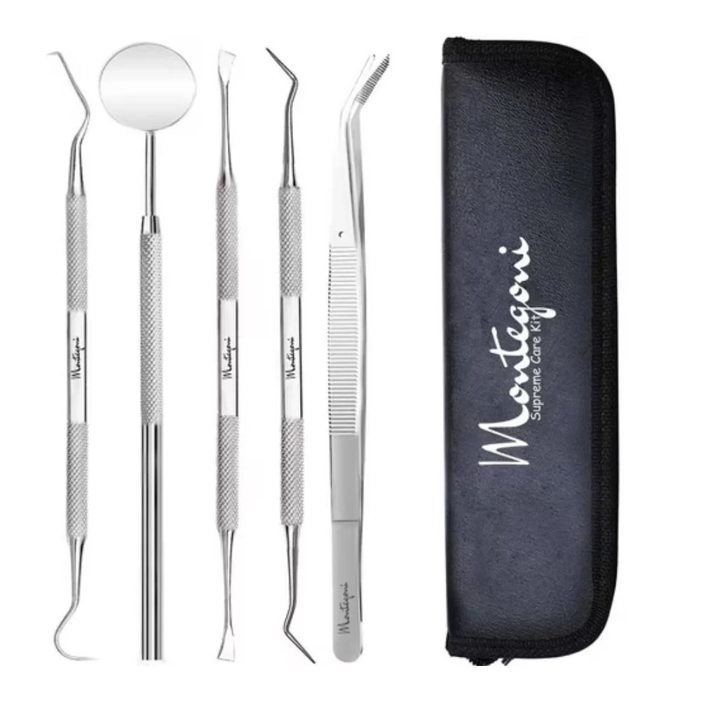 Stainless Steel Dental Care Set, 5 Pieces